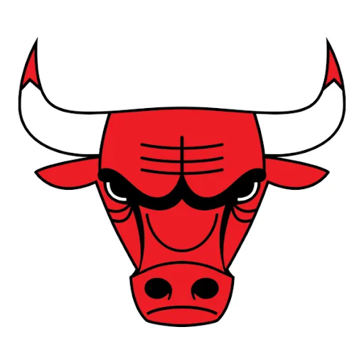 chicago bull