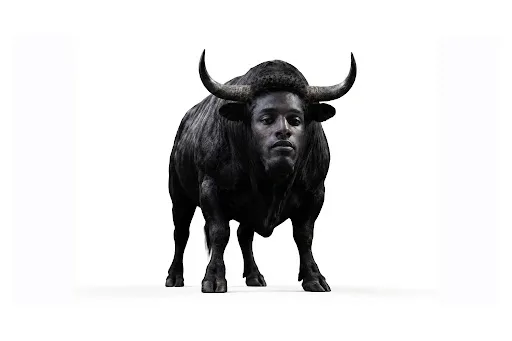 the black bull
